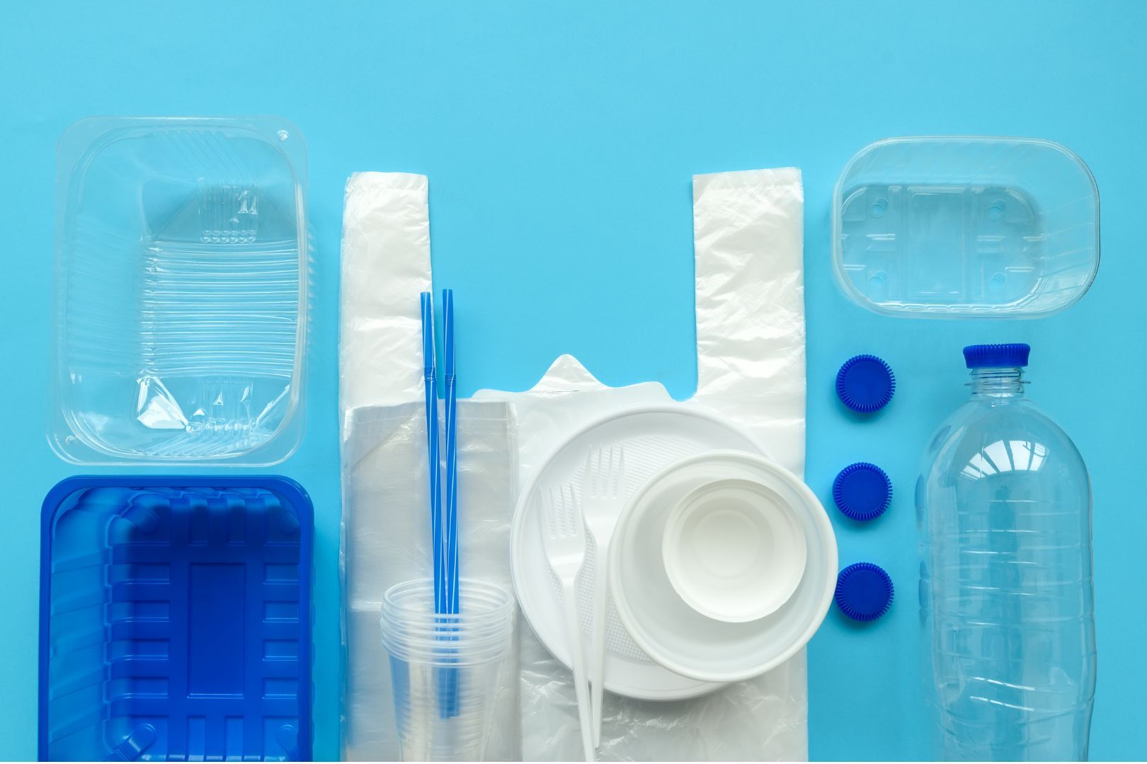 Divieti Plastica Monouso 2030 ed Esenzioni Regolamento Imballaggi