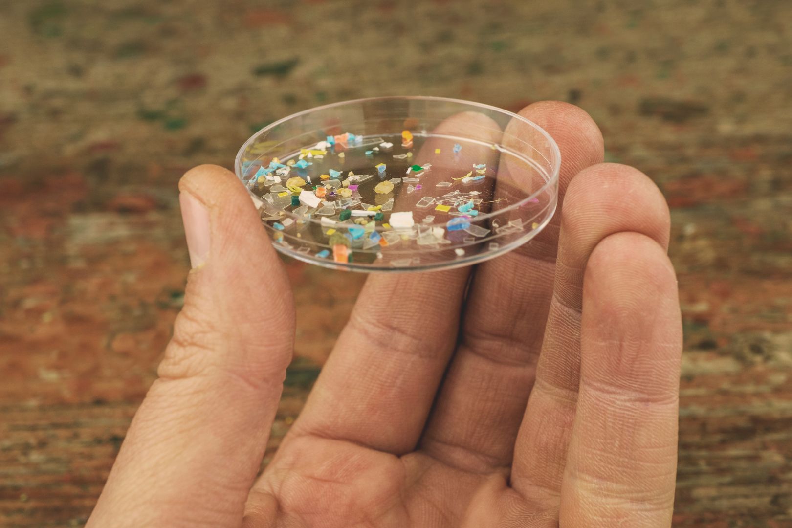 Reporting IUCLID6 e REACH-IT per le microplastiche: il servizio completo di adeguamento Fòrema