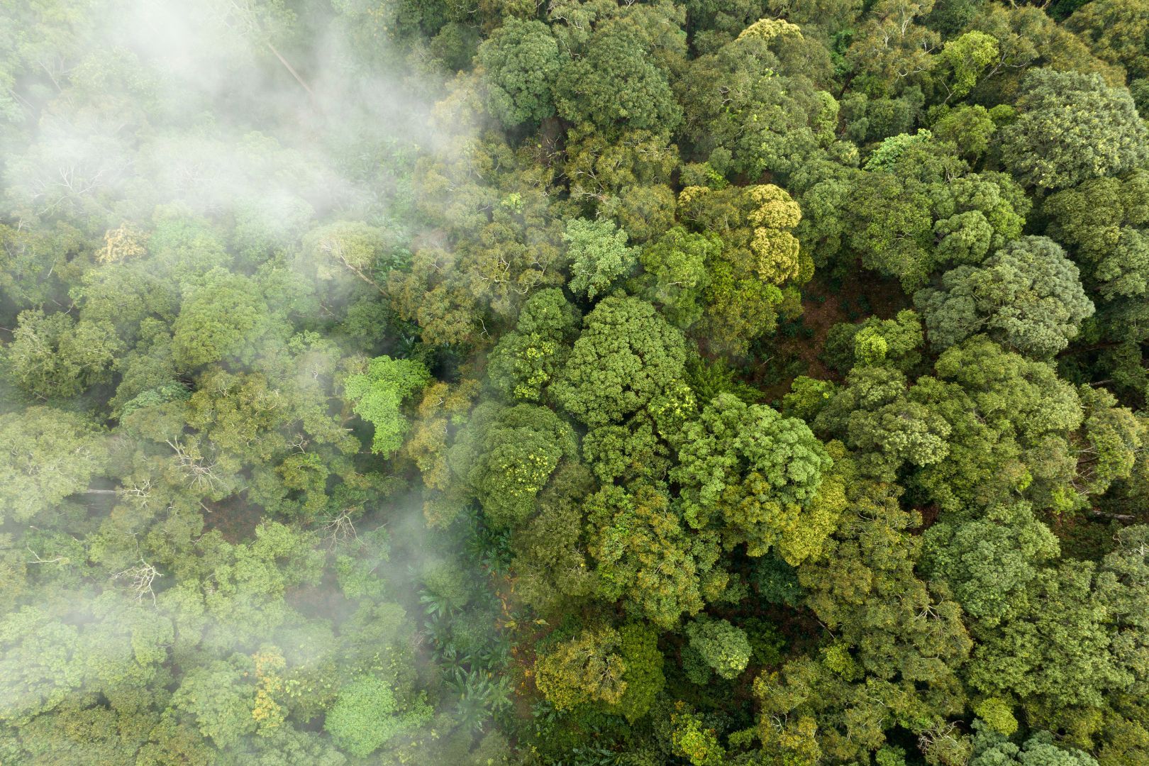 Il prezzo delle emissioni: come il rischio climatico cambia i tassi d'interesse.