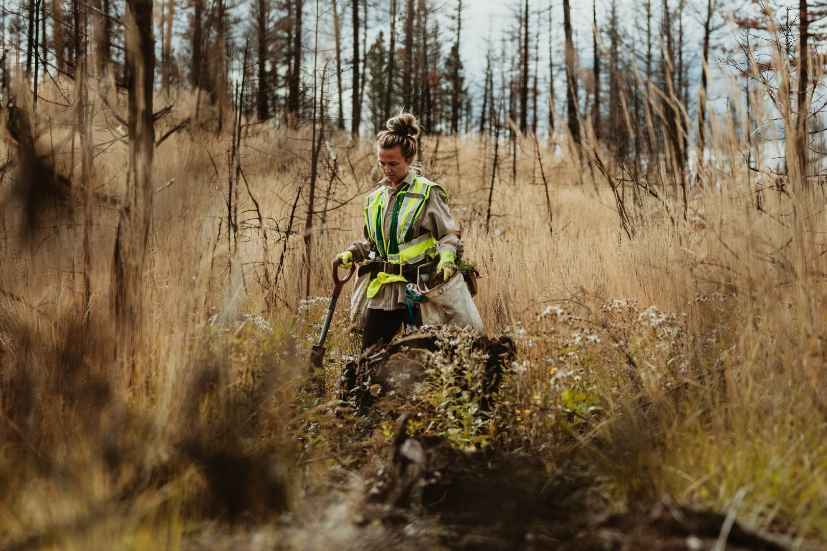 EUDR e filiere “deforestation-free”: la Roadmap operativa per le imprese