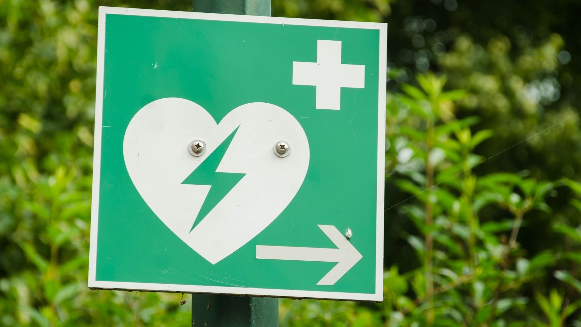 BLSD - Addetti all'utilizzo del Defibrillatore Semiautomatico Esterno